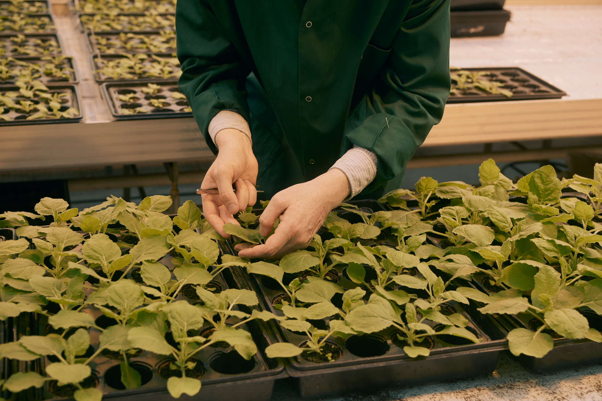 1920 D 04 04 058 Copy