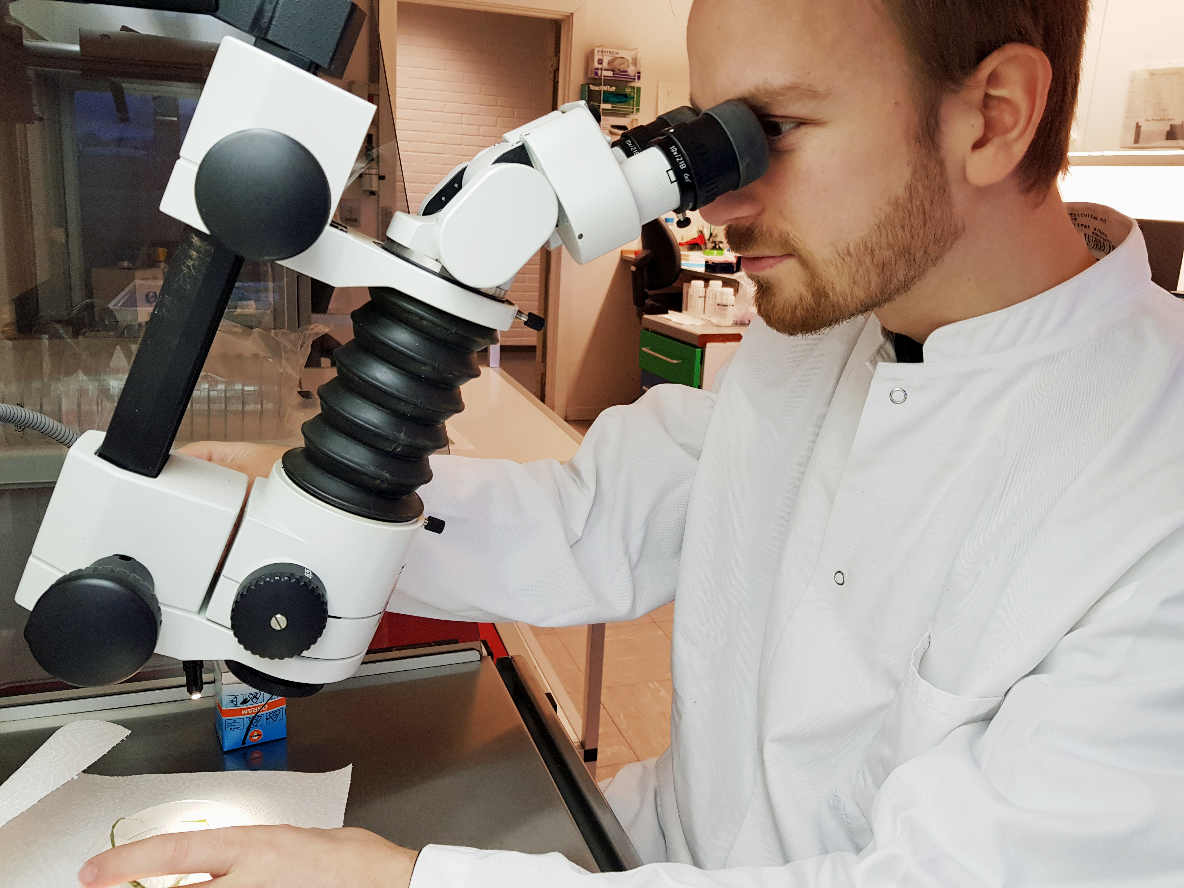 Mads Microscope Corr 01