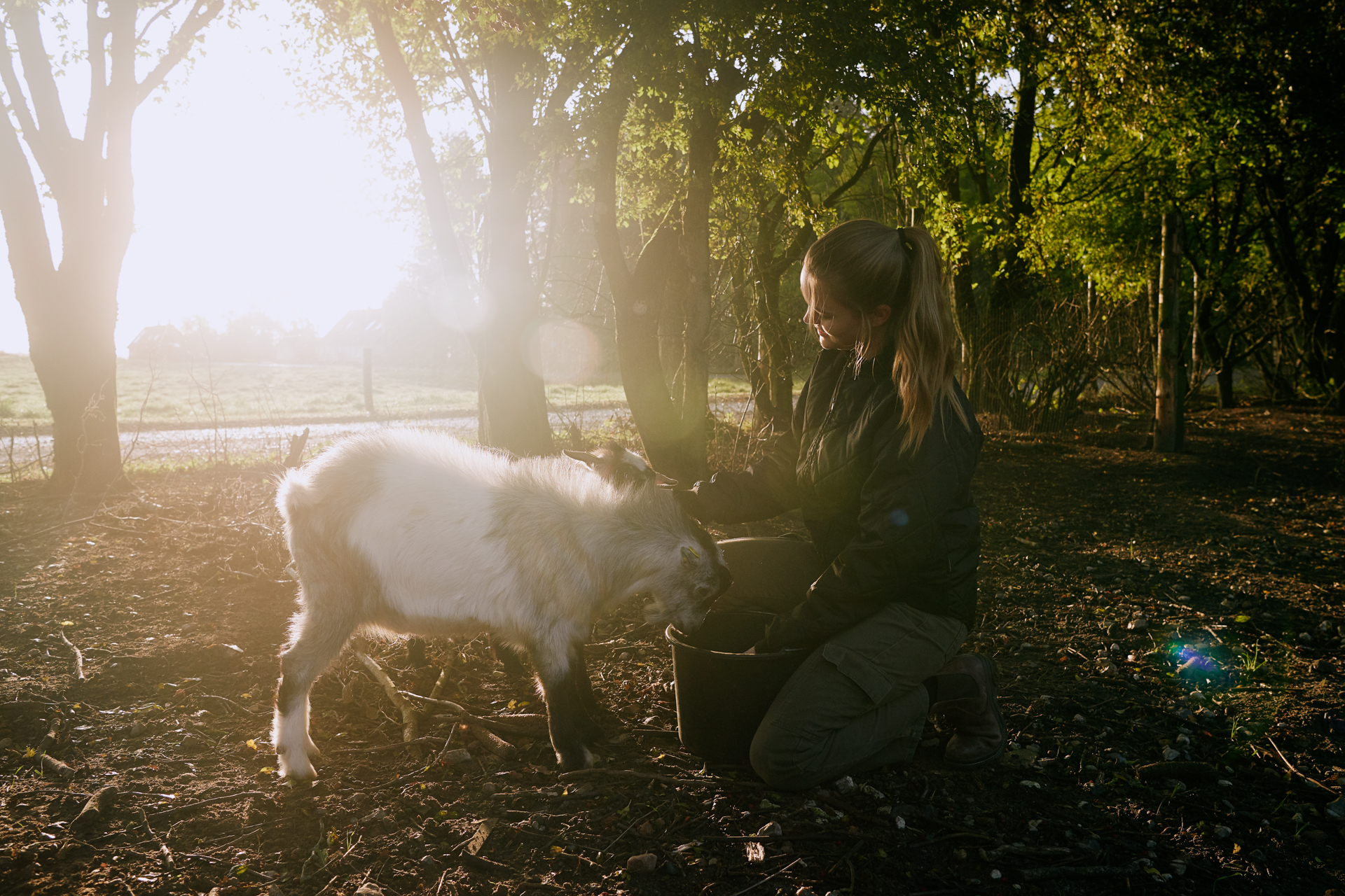 1920 D 03 02 078 Copy