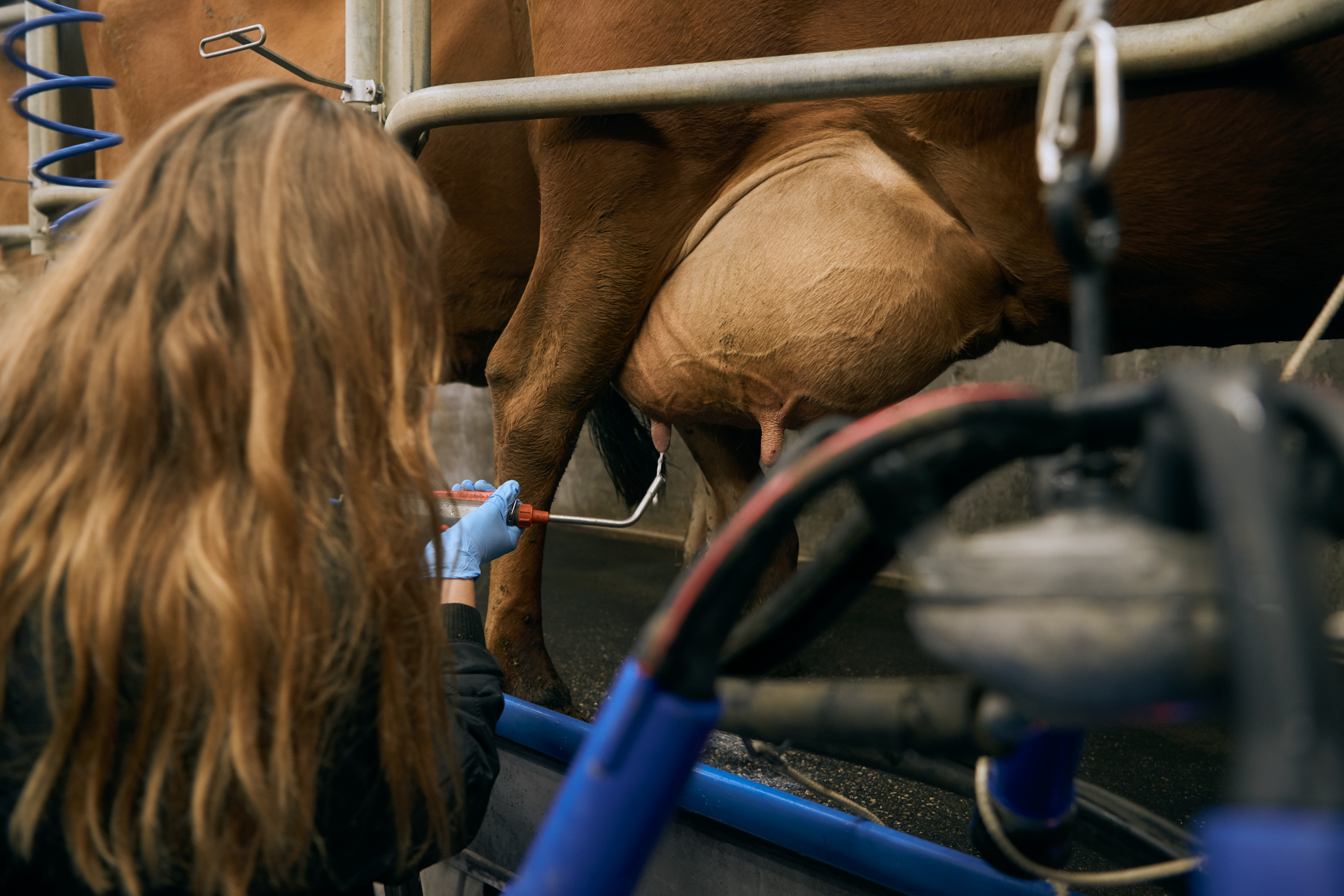 1920 D 03 08 009 Copy