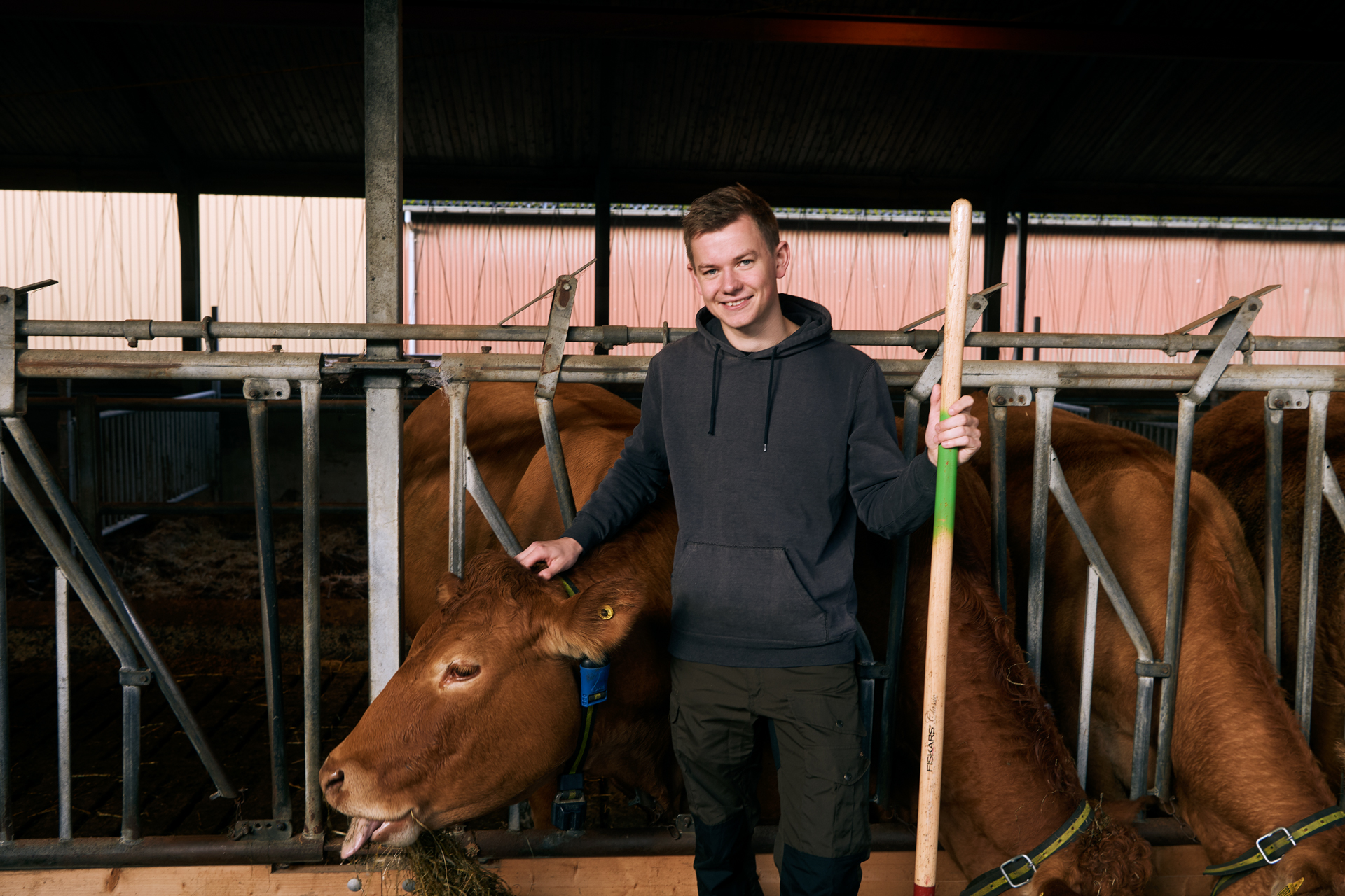 1920 D 02 06 114 Copy