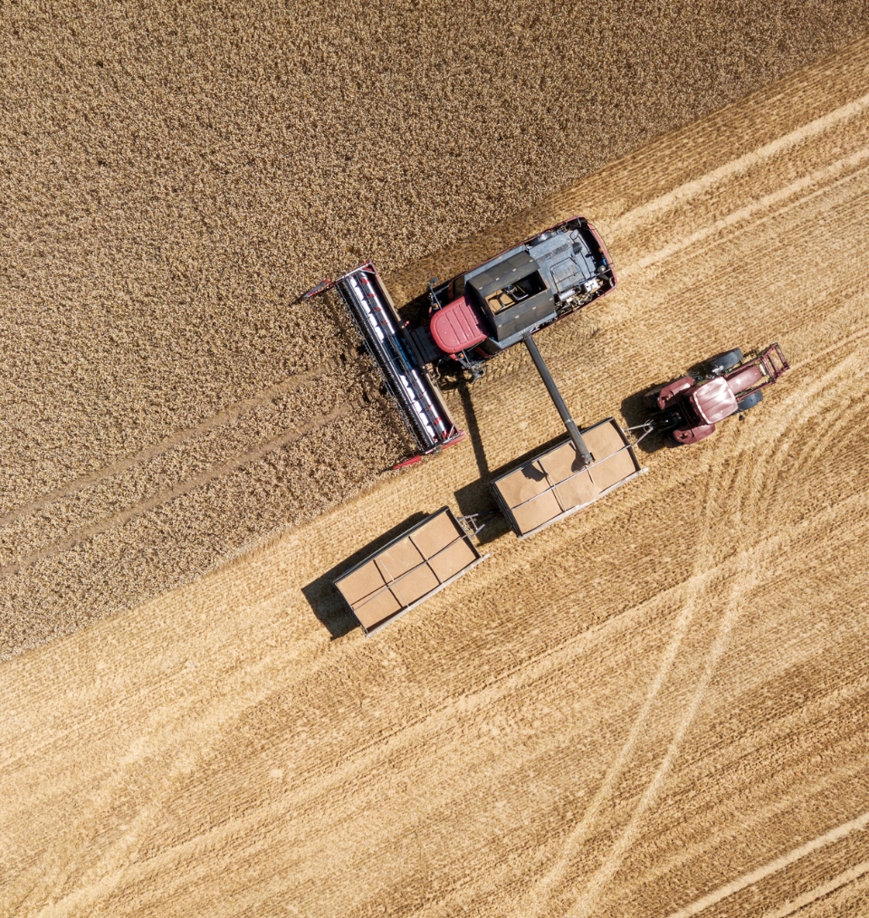 1920 Gettyimages 1007175900