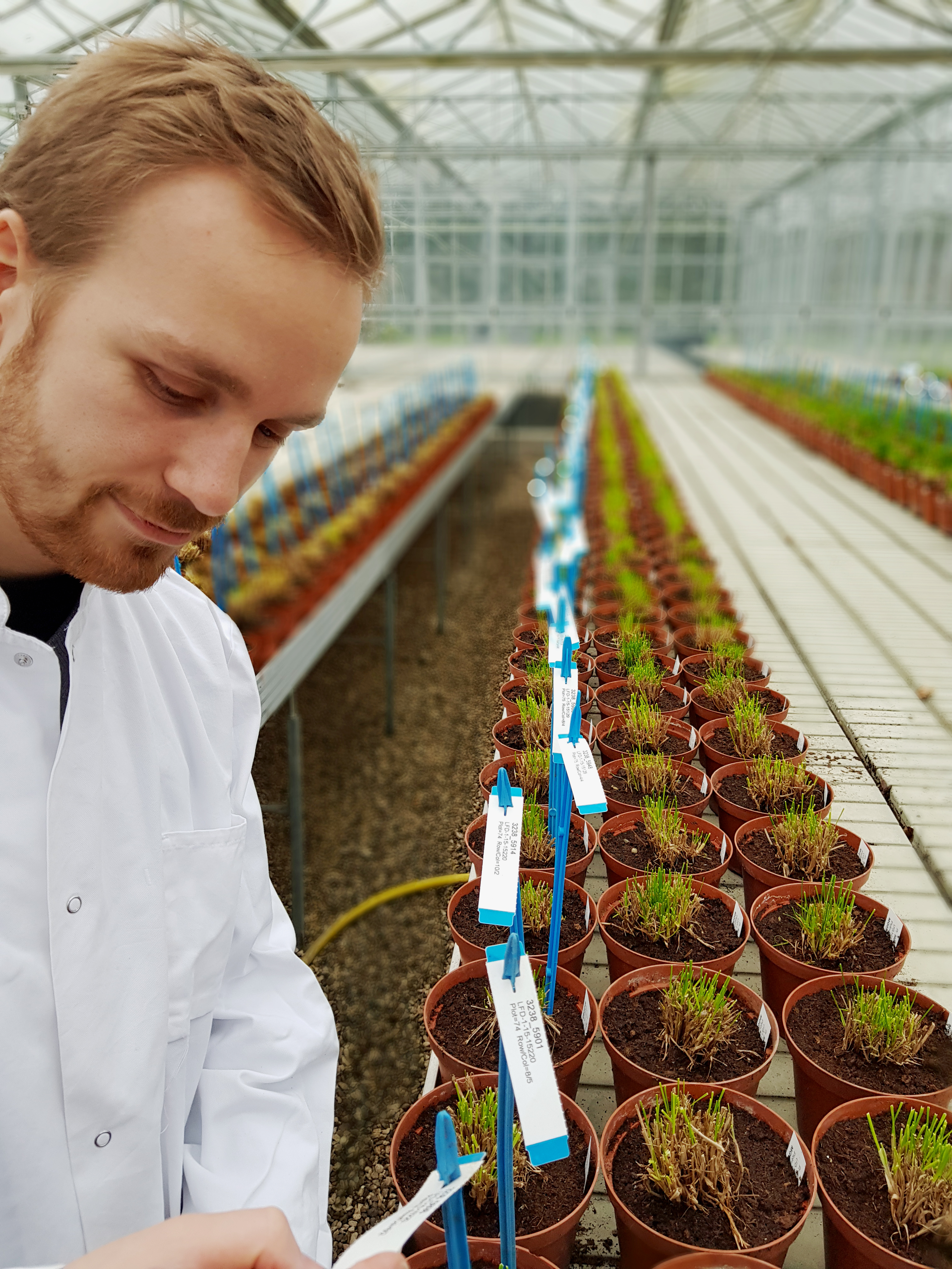 Mads Greenhouse Corr 03