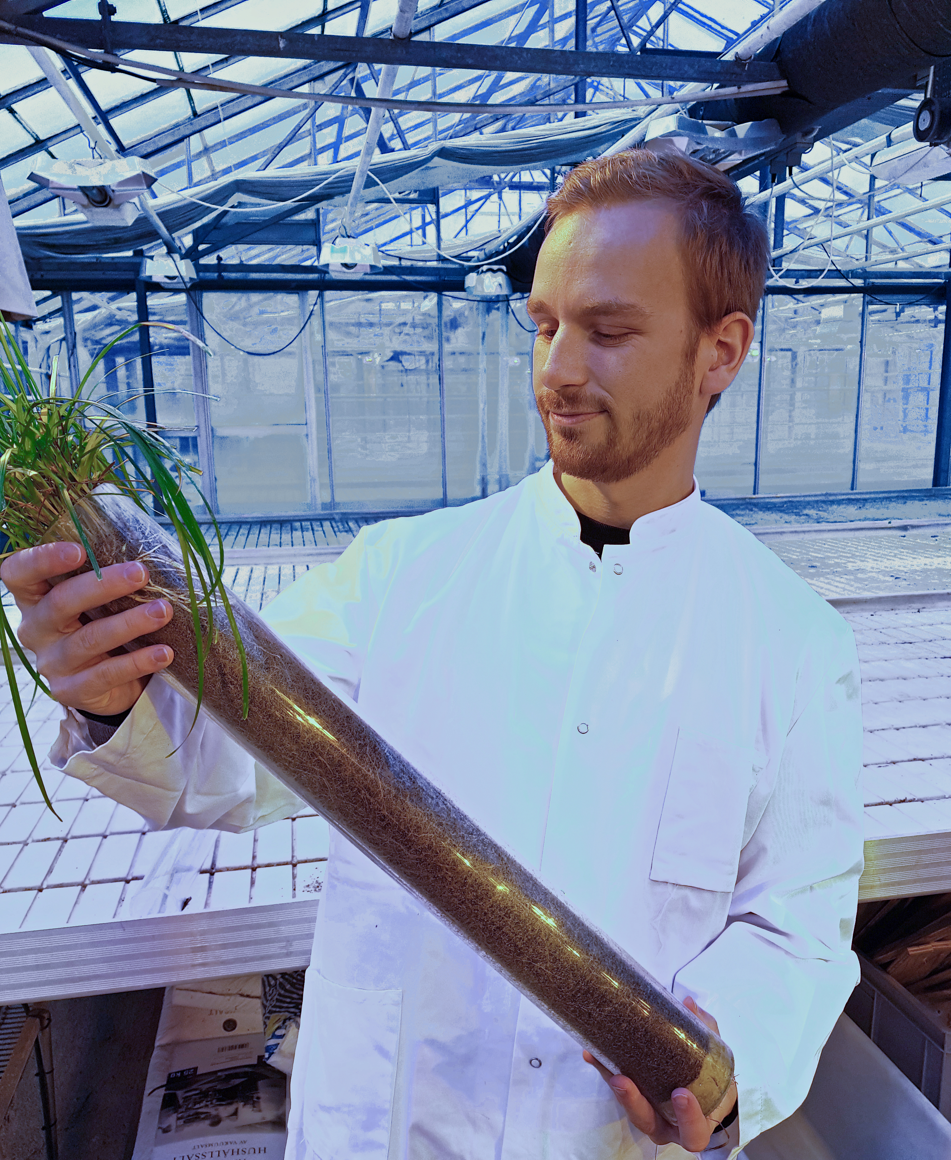 Mads Greenhouse Corr 07