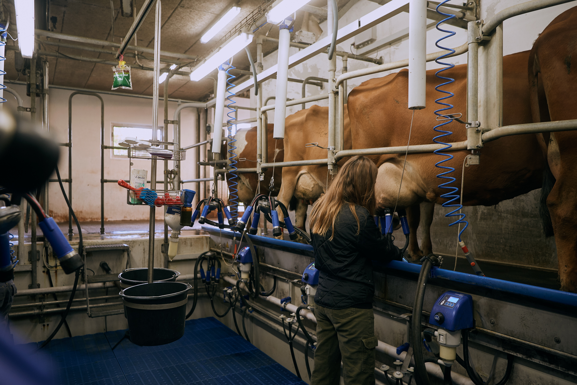 1920 D 03 08 074 Copy