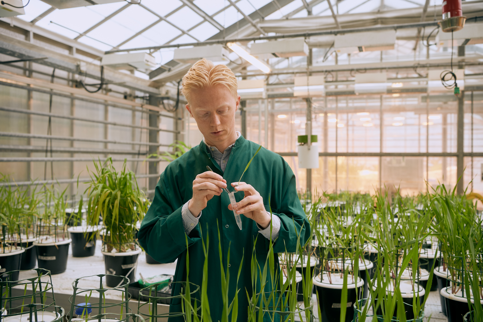 1920 D 04 01 025 Copy