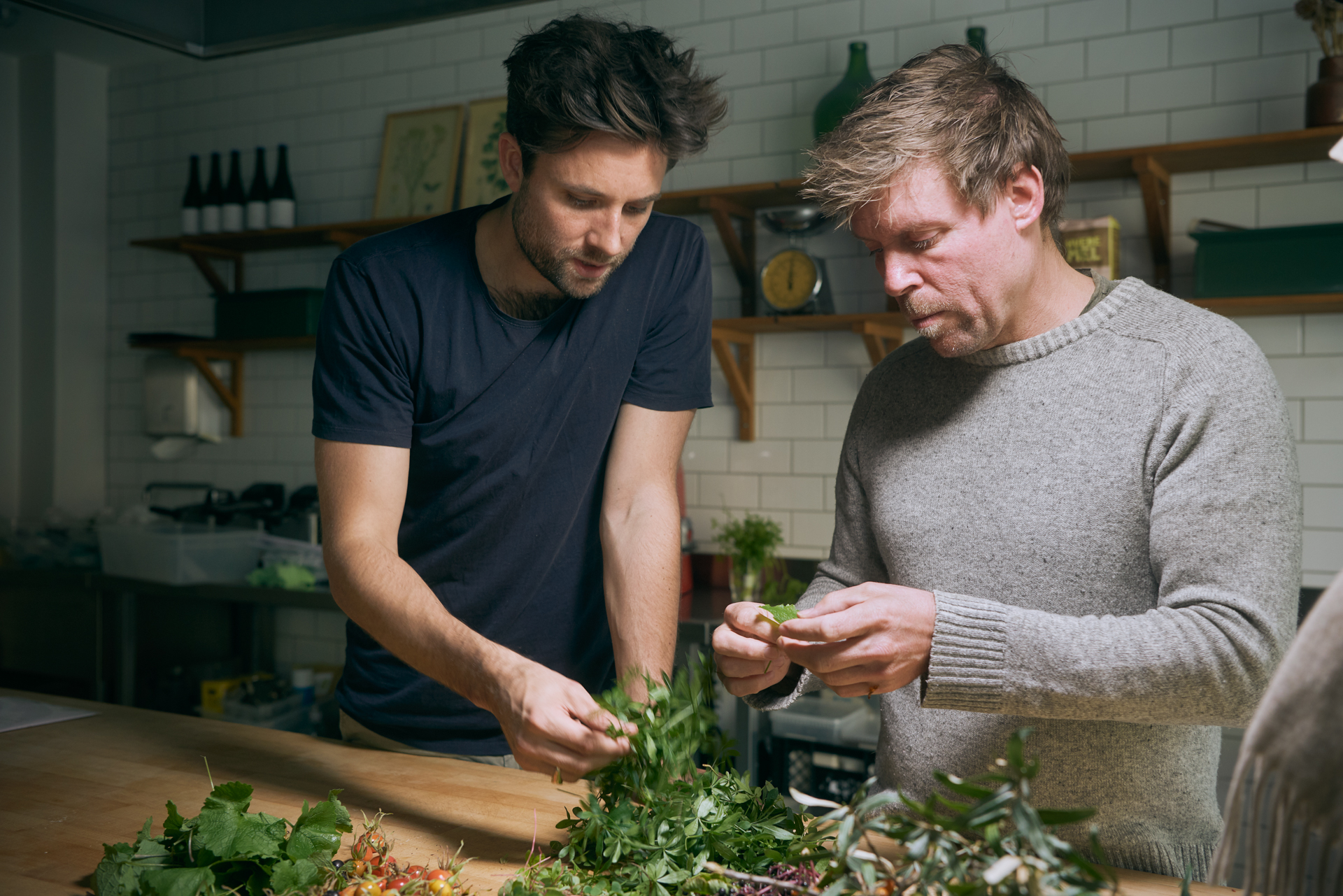 1920 D 01 09 251 Copy