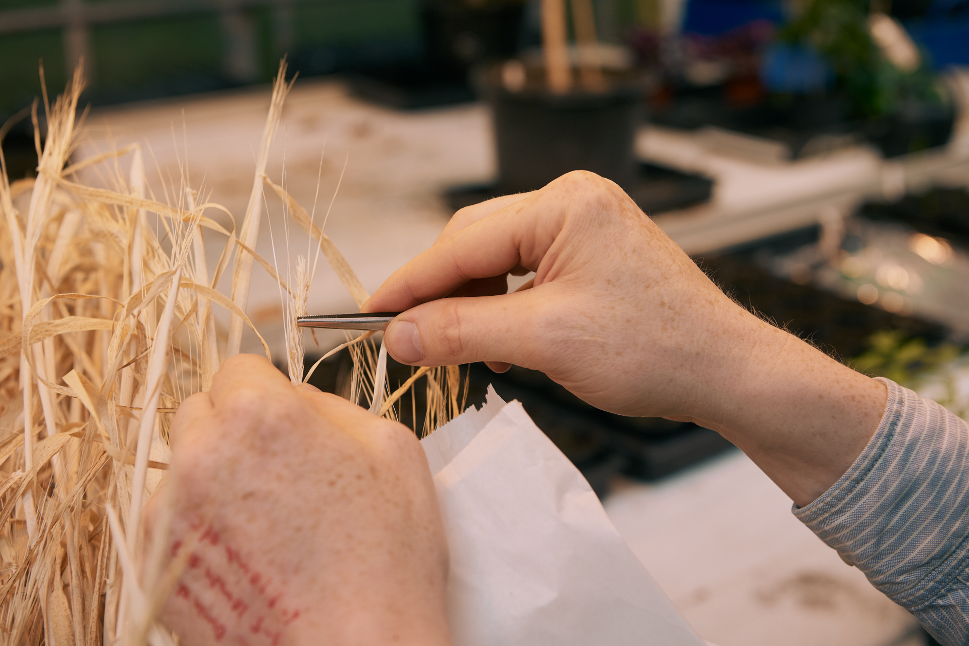 1920 D 04 04 029 Copy