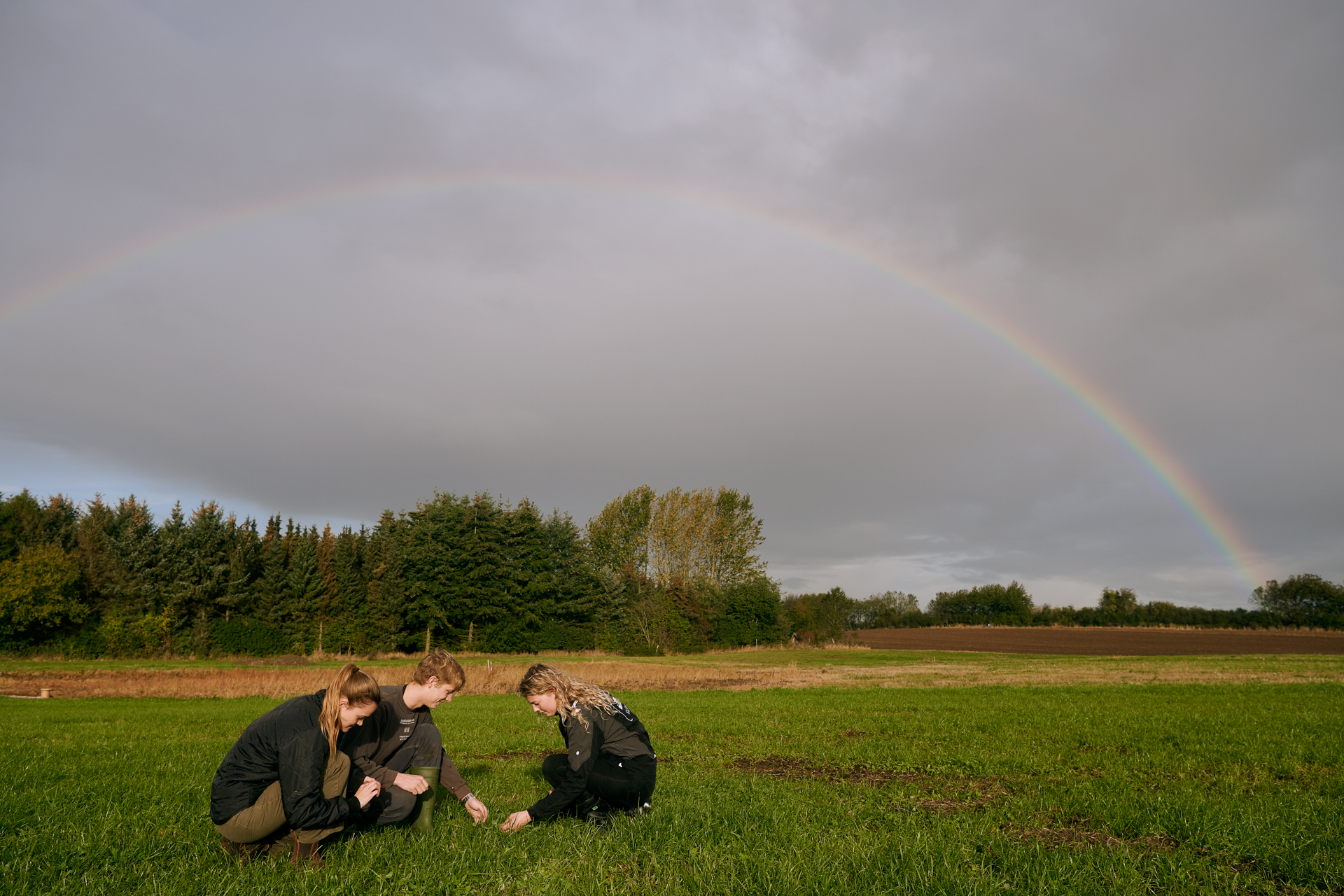 1920 D 03 05 002 Copy