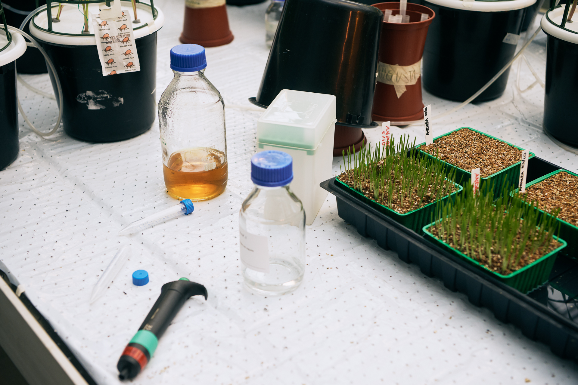 1920 D 04 01 004 Copy