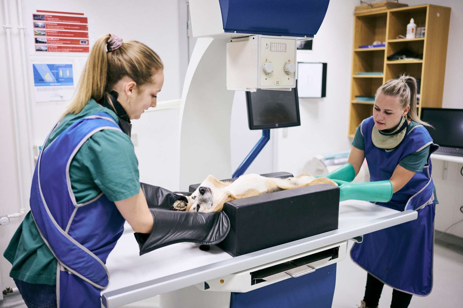 Veterinærsygeplejerske