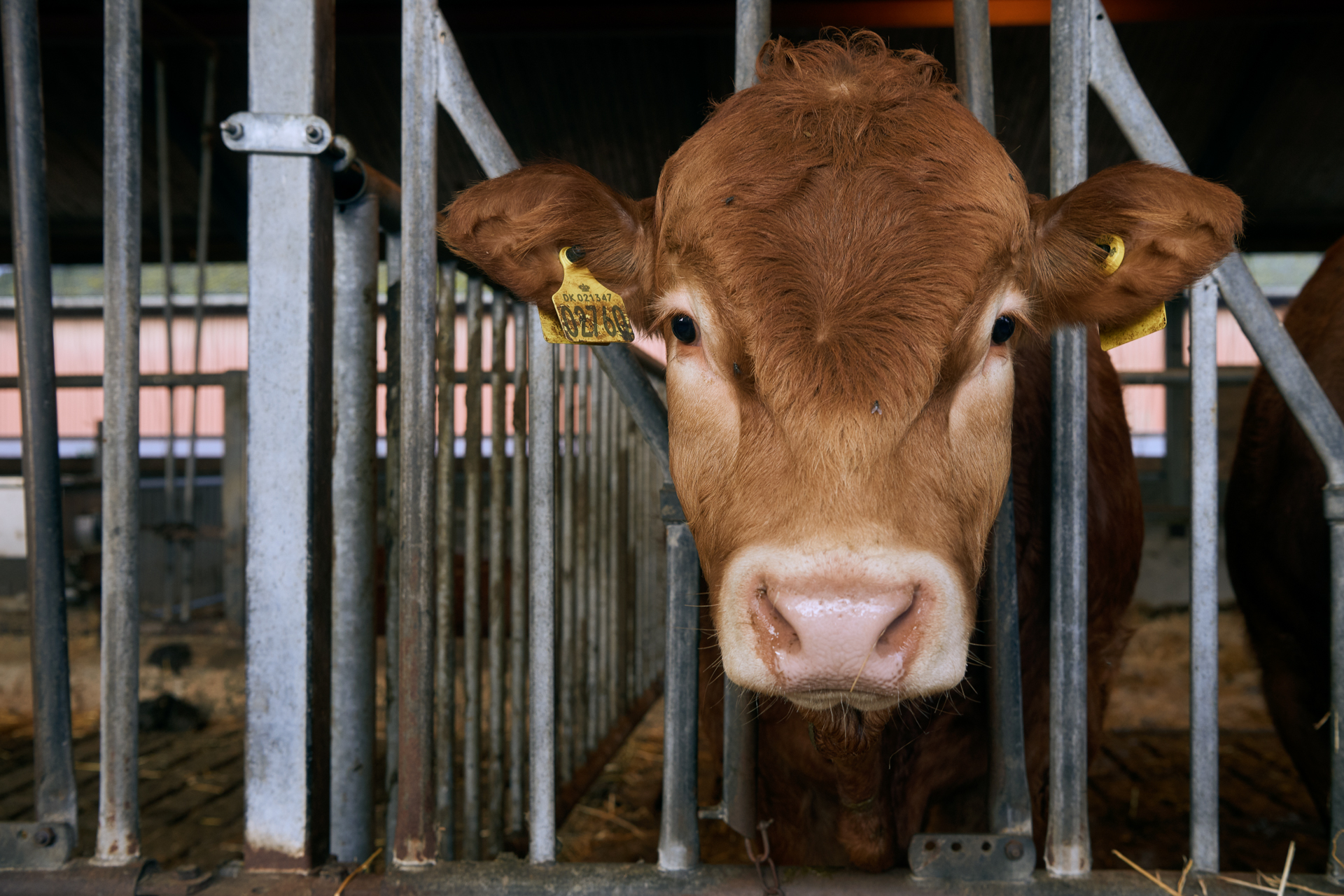 1920 D 02 06 139 Copy