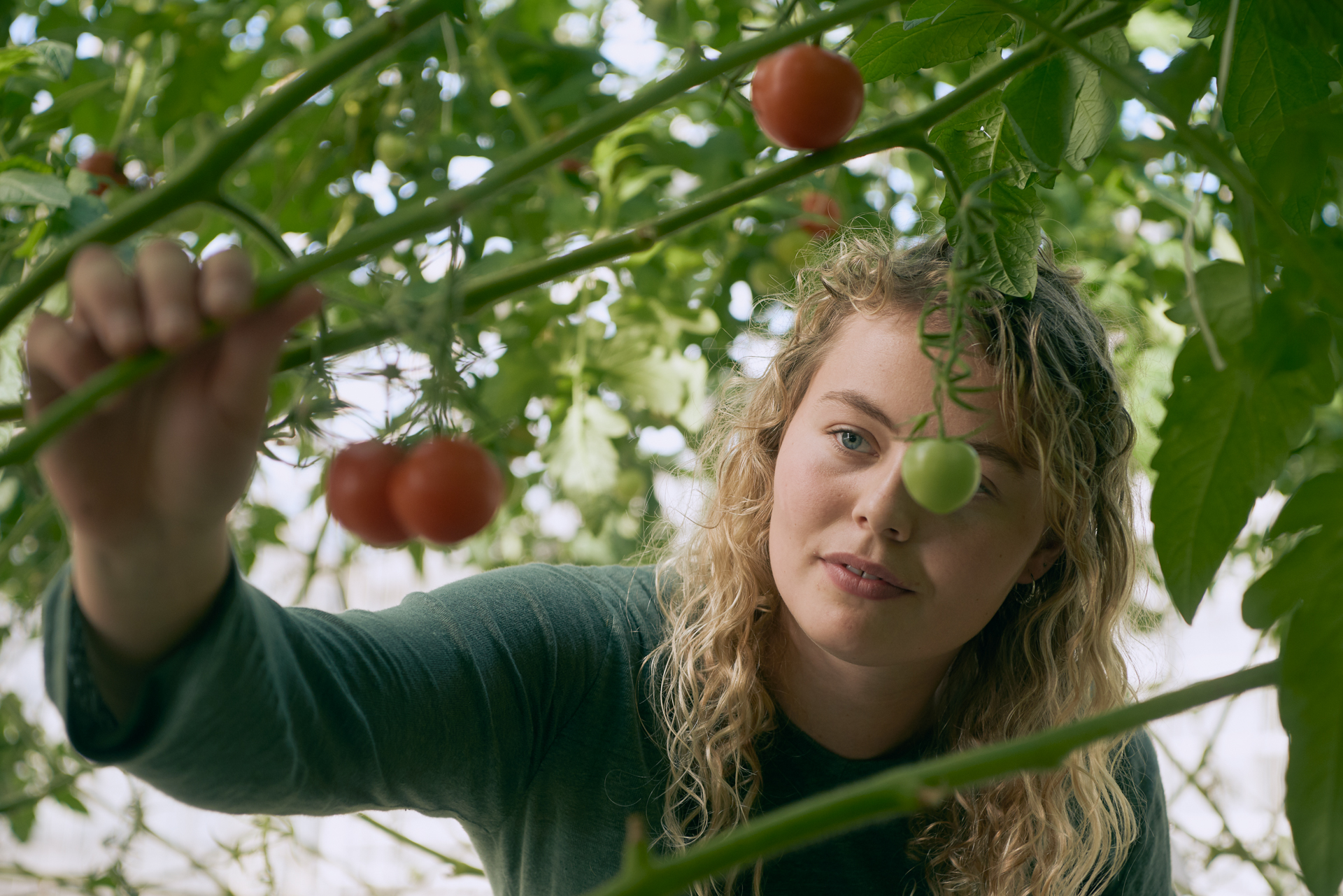 1920 D 03 16 025 Copy