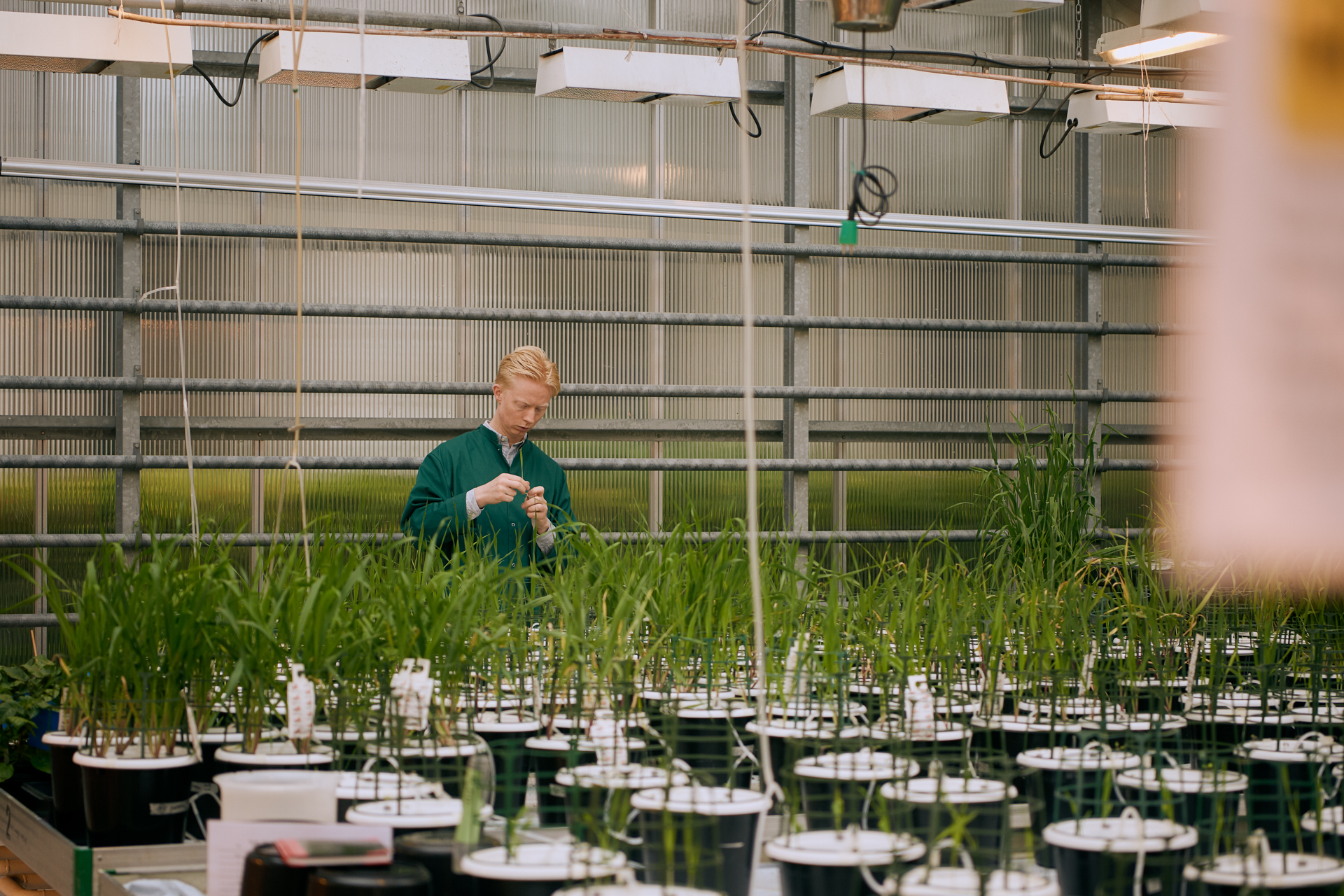 1920 D 04 01 001 Copy