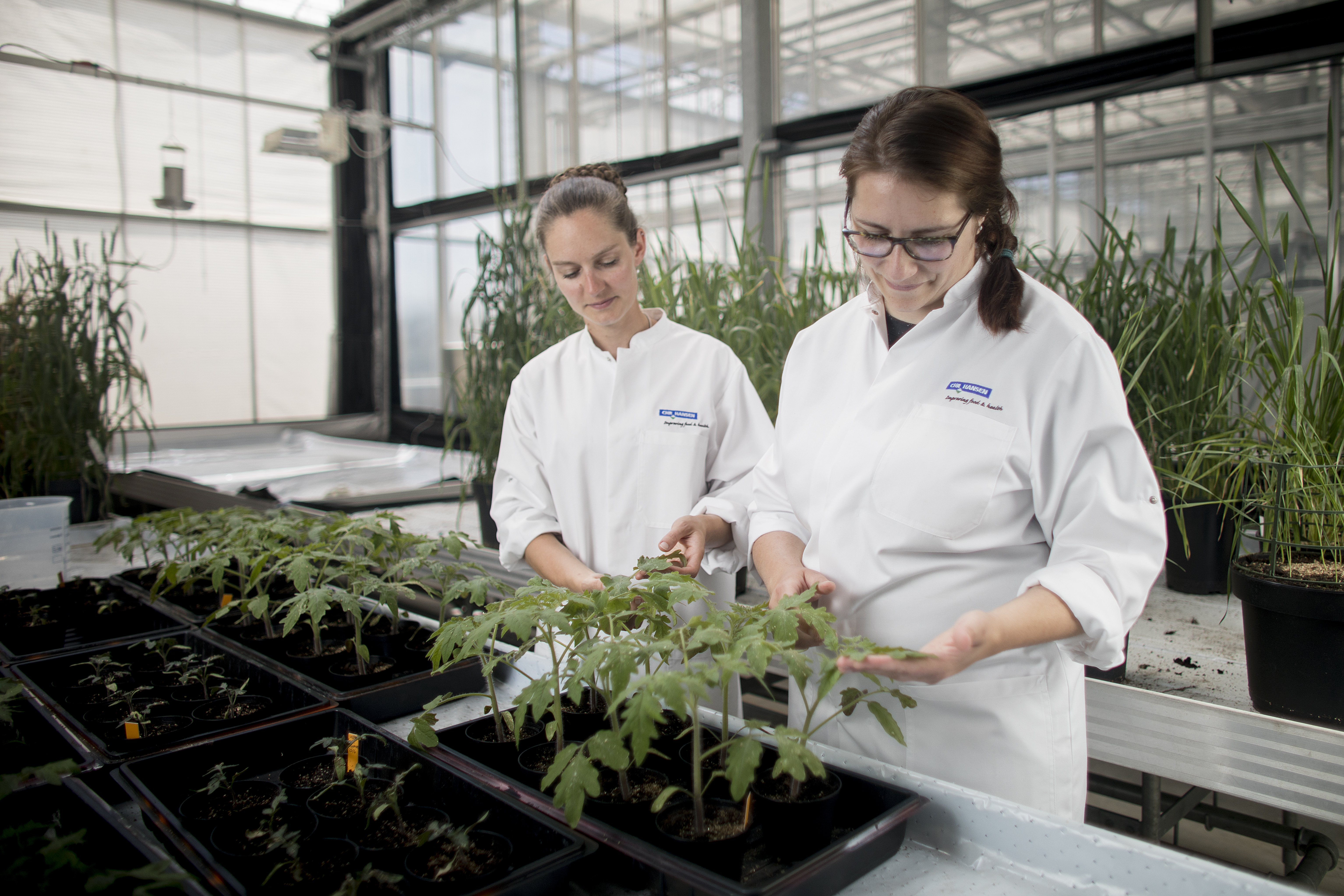 20190709 DI DI Pris Chr. Hansen 211