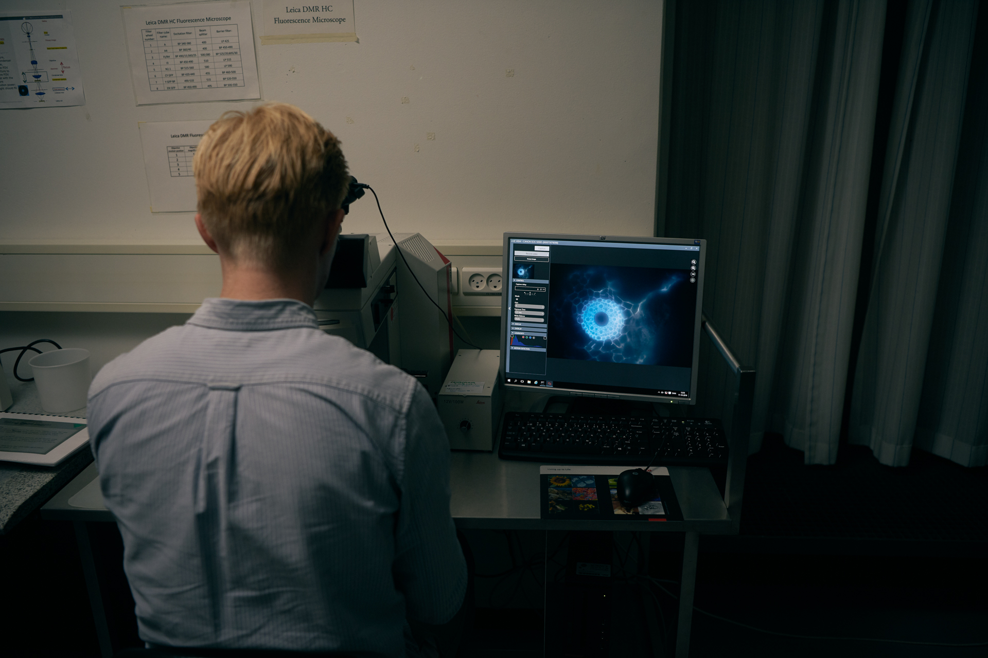 1920 D 04 06 035 Copy