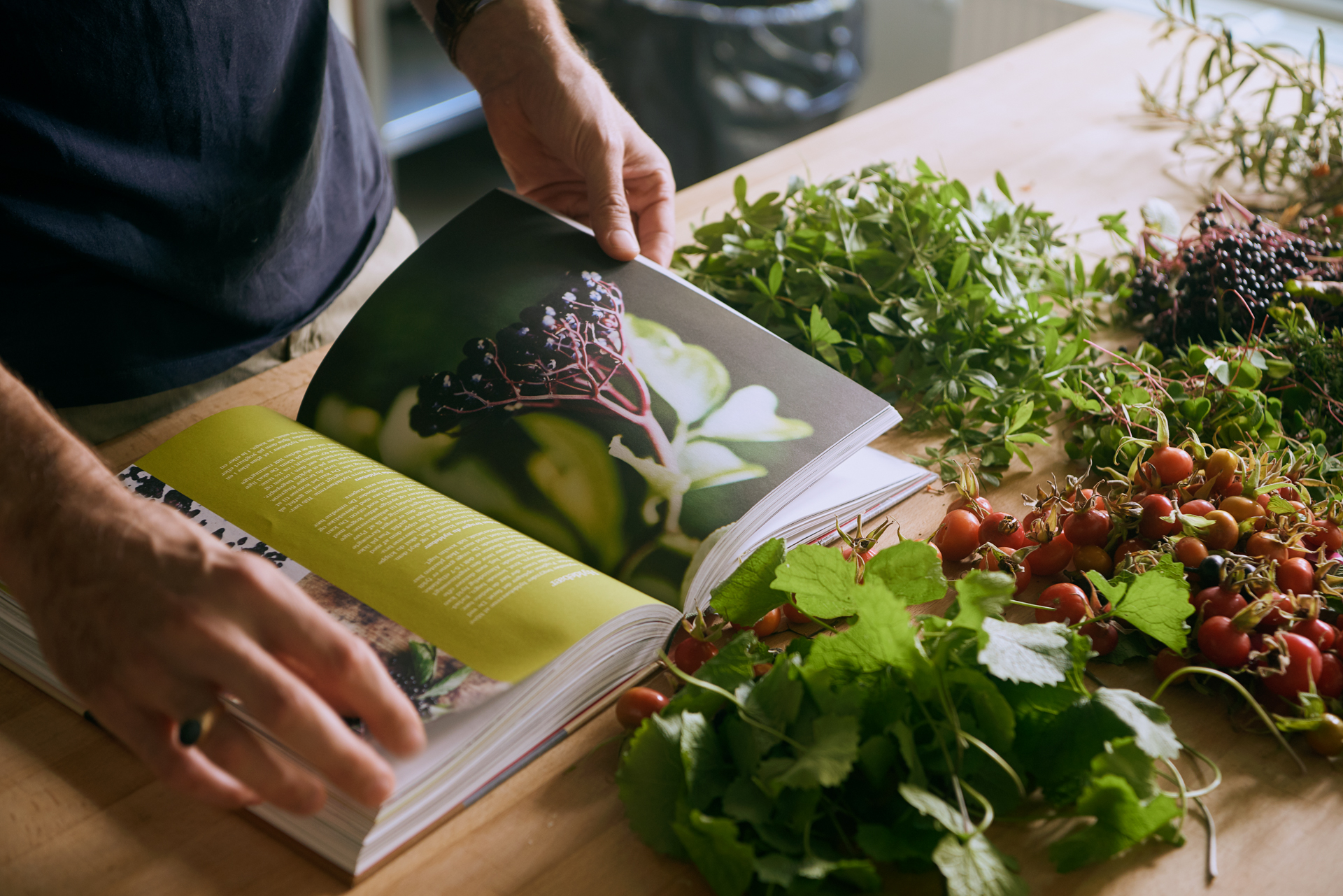 1920 D 01 10 008 Copy