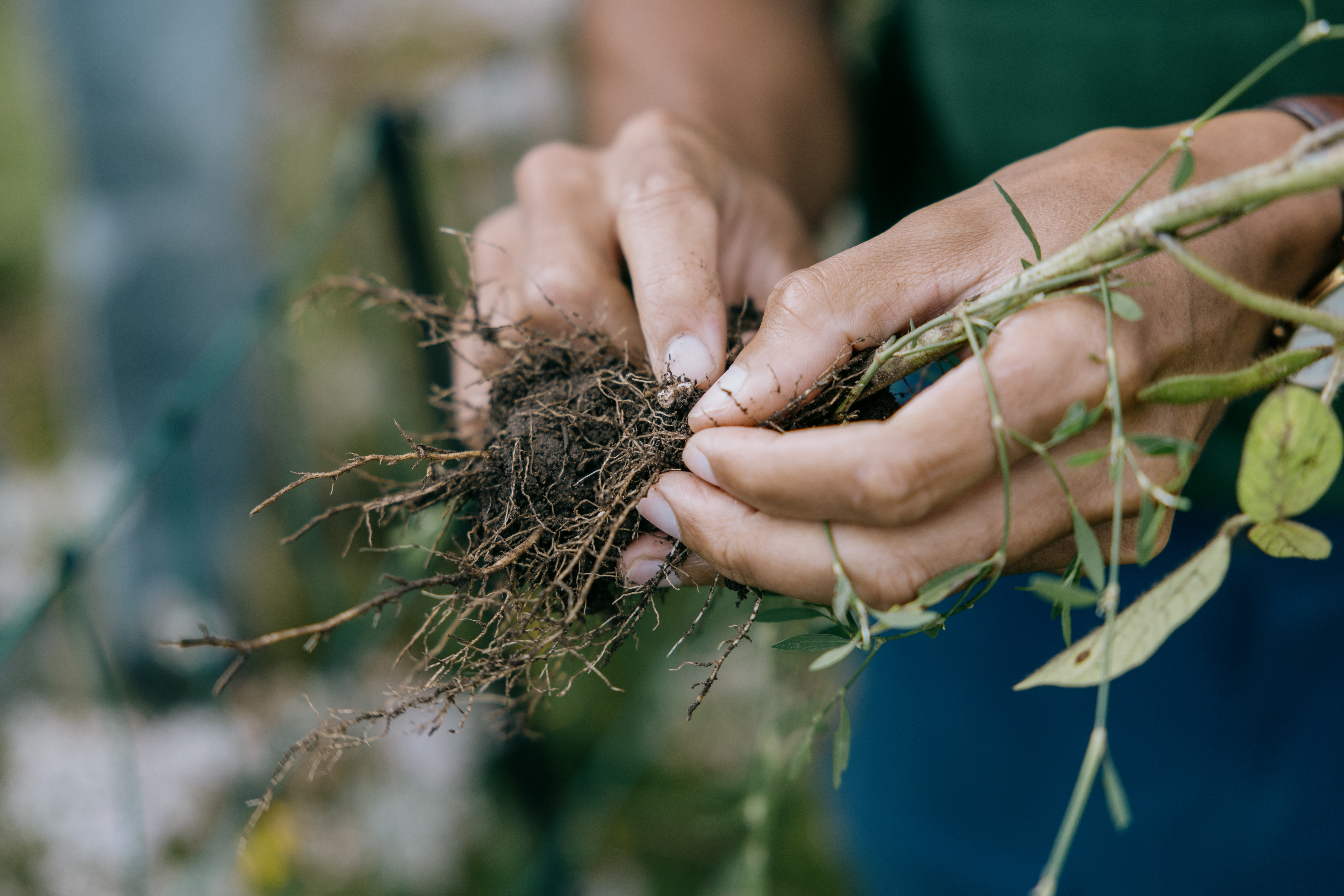 JHS 14108 21 08 2024 Copy