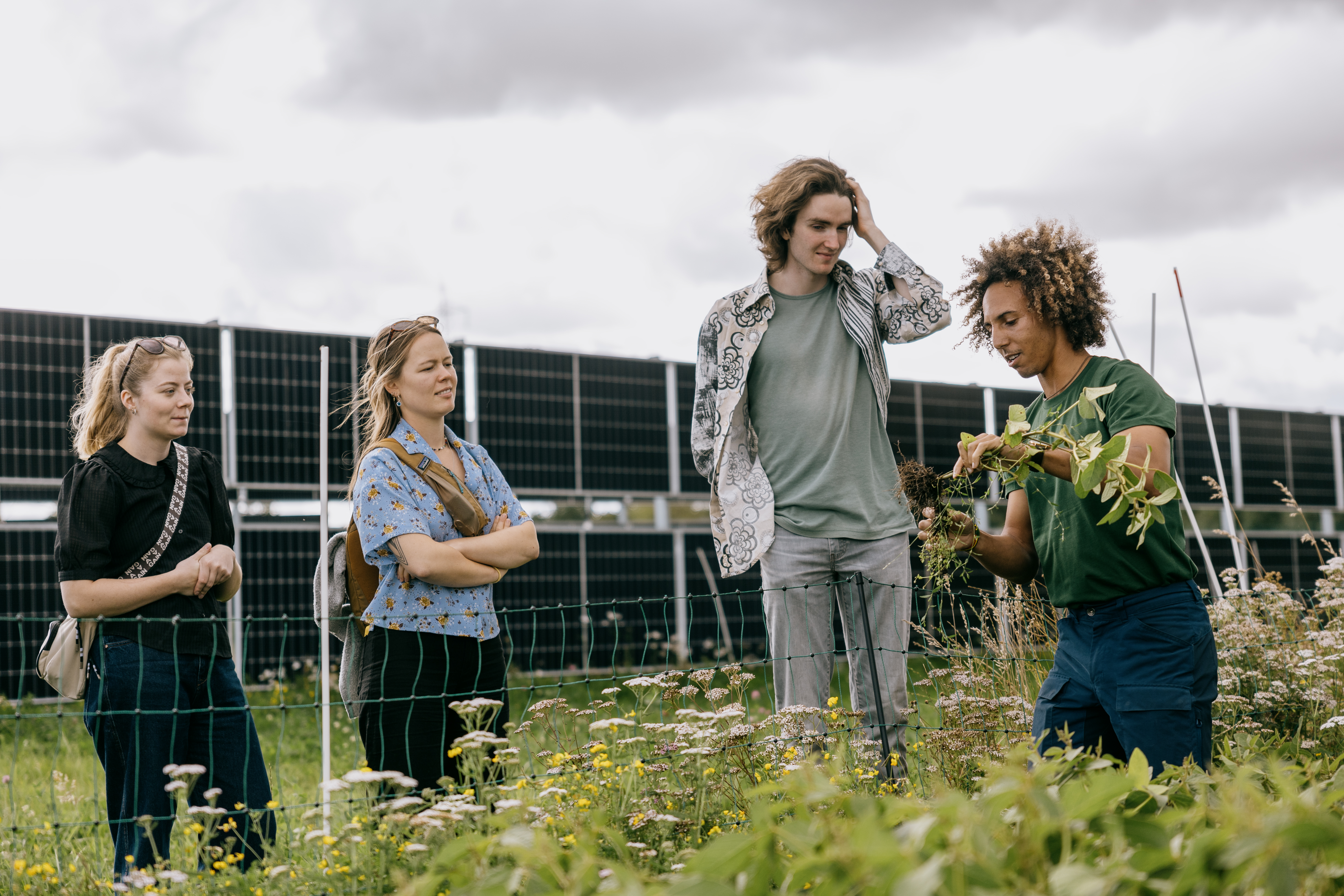 JHS 14105 21 08 2024 Copy (1)