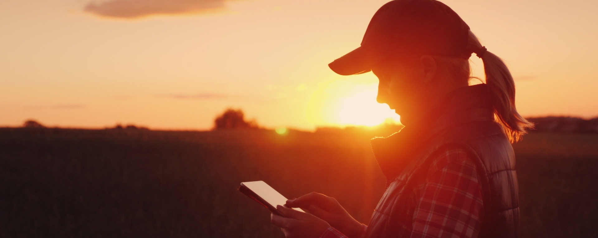 1920 Shutterstock 1112066687