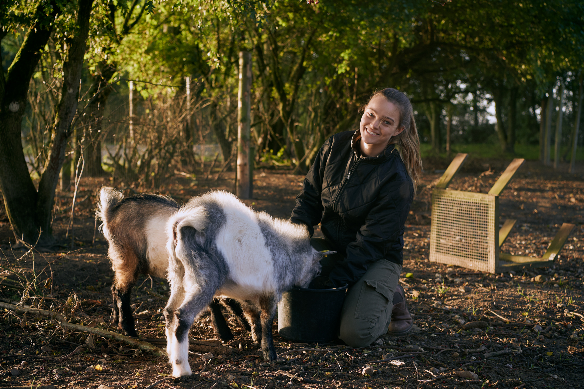 1920 D 03 02 068 Copy